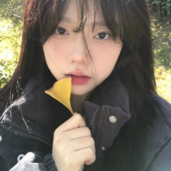 明月昭昭照念慈